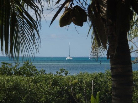 paradiesisch