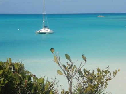 hawksbill-cay