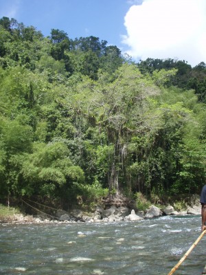 jamaika-april-09-087
