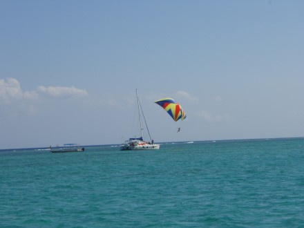 spisegeln