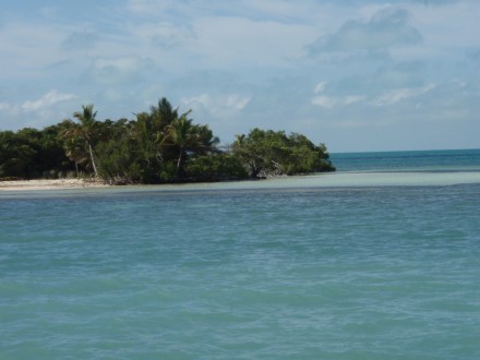 culebra