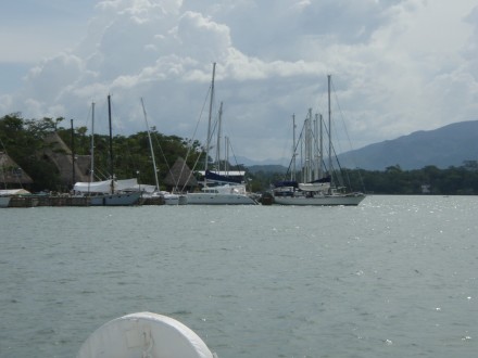 p7020036
