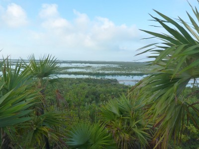 P1000532a
