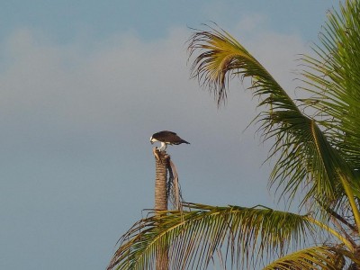 P1030281a