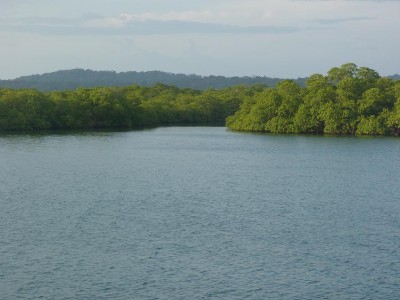 P1030556a