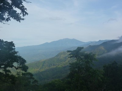 P1030883a