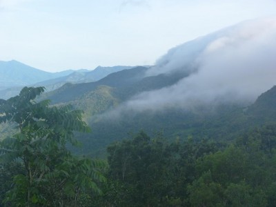 P1030884a