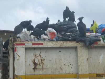 Müllrecycling in Panama