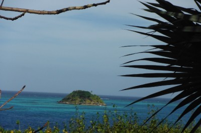 Cayo cangrecho