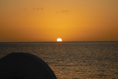 DSCF0784
