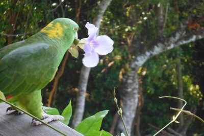 DSCF0935