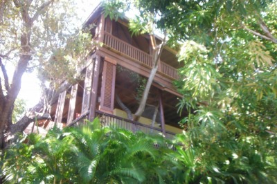 Das "Baumhaus"