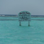 DSCF0983